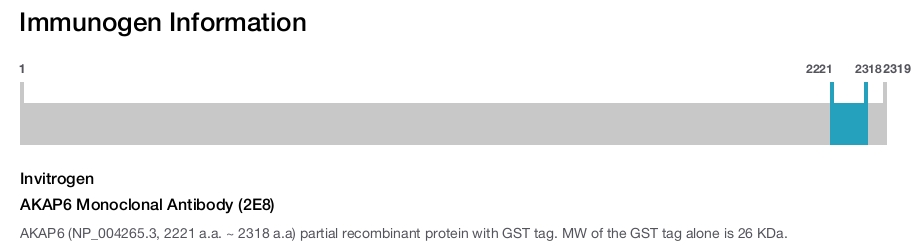 AKAP6 Monoclonal Antibody (2E8)