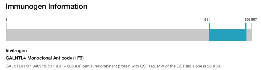 GALNTL4 Monoclonal Antibody (1F9)