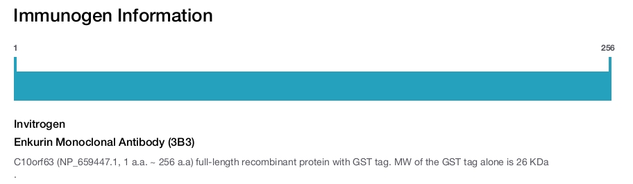 Enkurin Monoclonal Antibody (3B3)