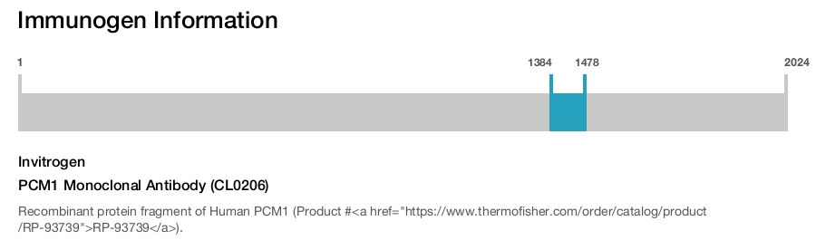 PCM1 Monoclonal Antibody (CL0206)