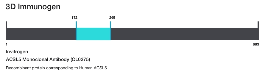 ACSL5 Monoclonal Antibody (CL0275)