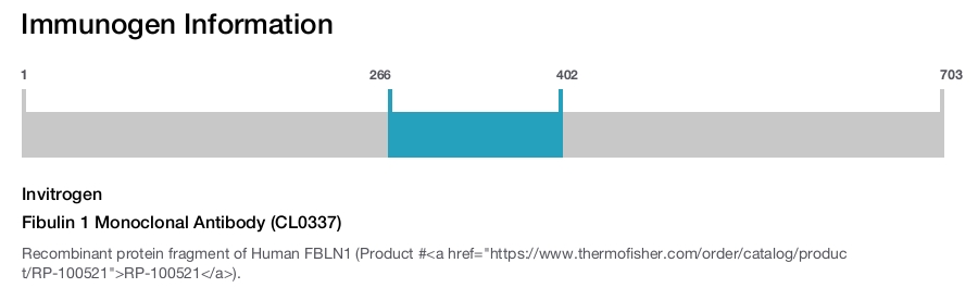 Fibulin 1 Monoclonal Antibody (CL0337)