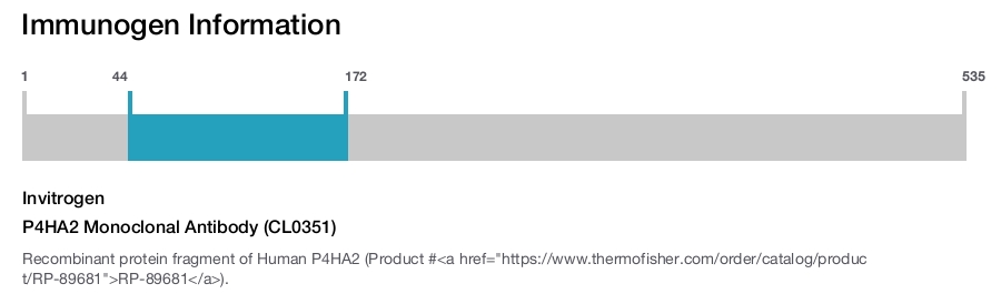P4HA2 Monoclonal Antibody (CL0351)
