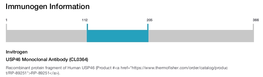 USP46 Monoclonal Antibody (CL0364)