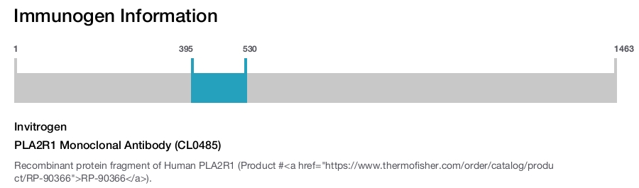 PLA2R1 Monoclonal Antibody (CL0485)