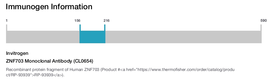 ZNF703 Monoclonal Antibody (CL0654)