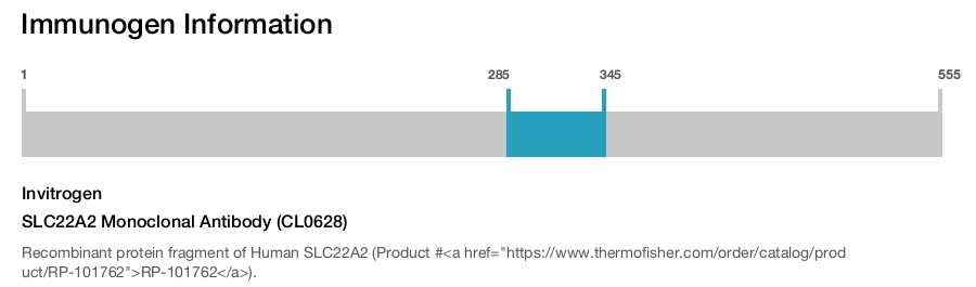 SLC22A2 Monoclonal Antibody (CL0628)