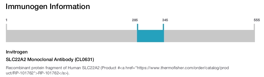 SLC22A2 Monoclonal Antibody (CL0631)