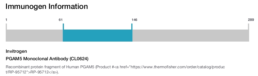 PGAM5 Monoclonal Antibody (CL0624)