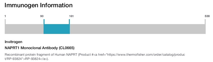 NAPRT1 Monoclonal Antibody (CL0665)