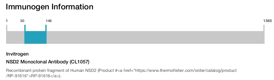 NSD2 Monoclonal Antibody (CL1057)