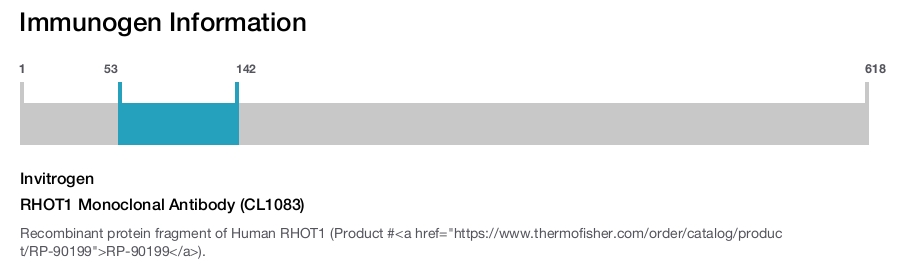 RHOT1 Monoclonal Antibody (CL1083)
