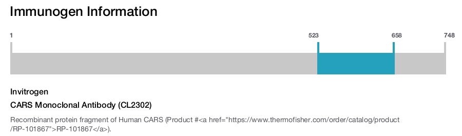 CARS Monoclonal Antibody (CL2302)