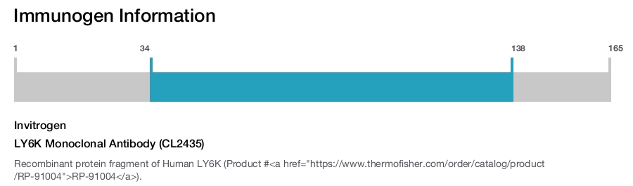LY6K Monoclonal Antibody (CL2435)