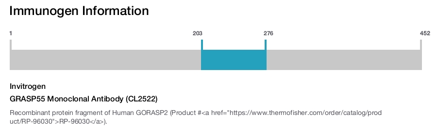 GRASP55 Monoclonal Antibody (CL2522)