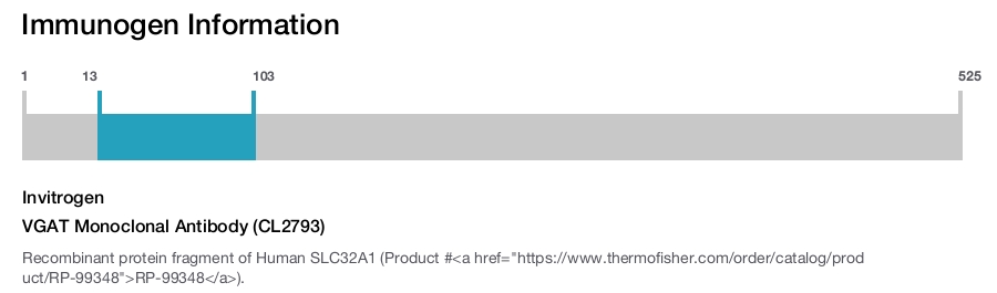 VGAT Monoclonal Antibody (CL2793)
