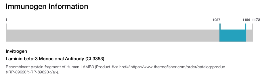 Laminin beta-3 Monoclonal Antibody (CL3353)