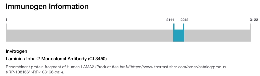 Laminin alpha-2 Monoclonal Antibody (CL3450)