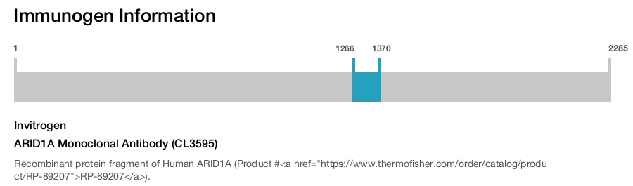 ARID1A Monoclonal Antibody (CL3595)