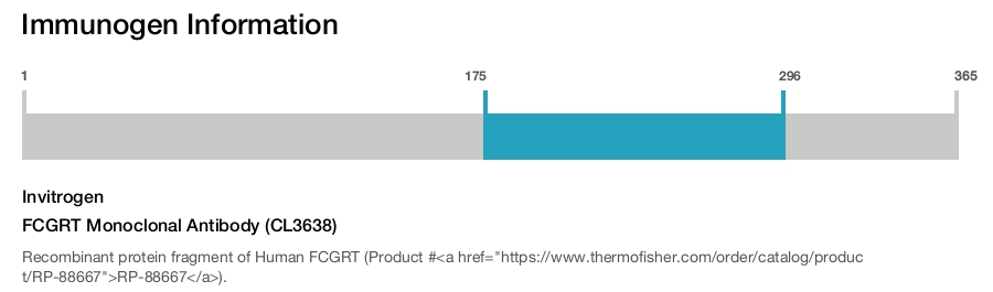 FCGRT Monoclonal Antibody (CL3638)