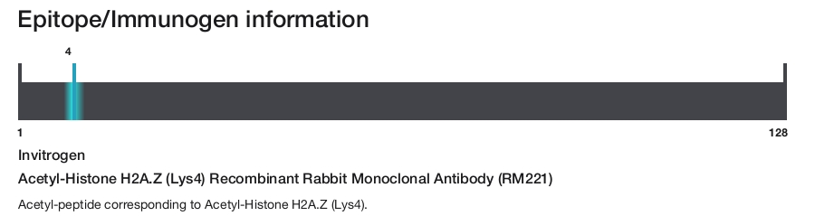 Acetyl-Histone H2A.Z (Lys4) Recombinant Rabbit Monoclonal Antibody (RM221)