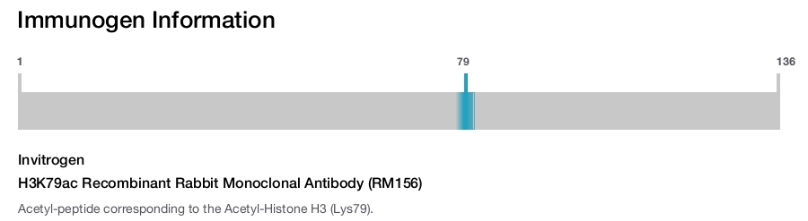 H3K79ac Recombinant Rabbit Monoclonal Antibody (RM156)