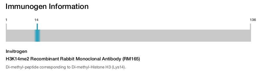 H3K14me2 Recombinant Rabbit Monoclonal Antibody (RM165)
