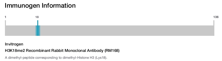 H3K18me2 Recombinant Rabbit Monoclonal Antibody (RM168)