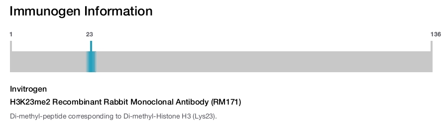 H3K23me2 Recombinant Rabbit Monoclonal Antibody (RM171)