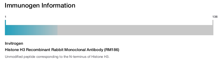 Histone H3 Recombinant Rabbit Monoclonal Antibody (RM186)