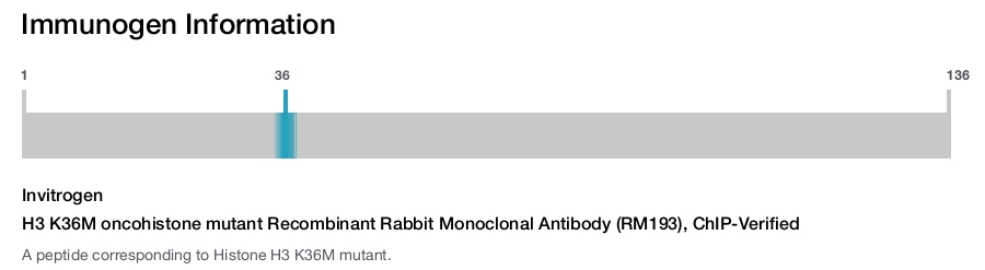 H3 K36M oncohistone mutant Recombinant Rabbit Monoclonal Antibody (RM193), ChIP-Verified