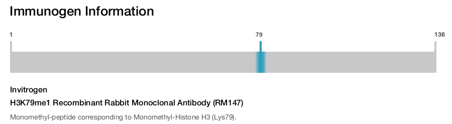 H3K79me1 Recombinant Rabbit Monoclonal Antibody (RM147)