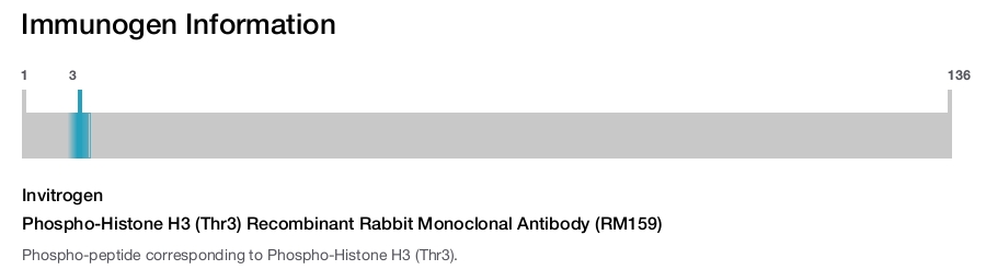 Phospho-Histone H3 (Thr3) Recombinant Rabbit Monoclonal Antibody (RM159)