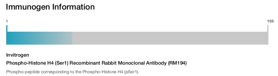 Phospho-Histone H4 (Ser1) Recombinant Rabbit Monoclonal Antibody (RM194)
