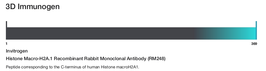 Histone Macro-H2A.1 Recombinant Rabbit Monoclonal Antibody (RM248)