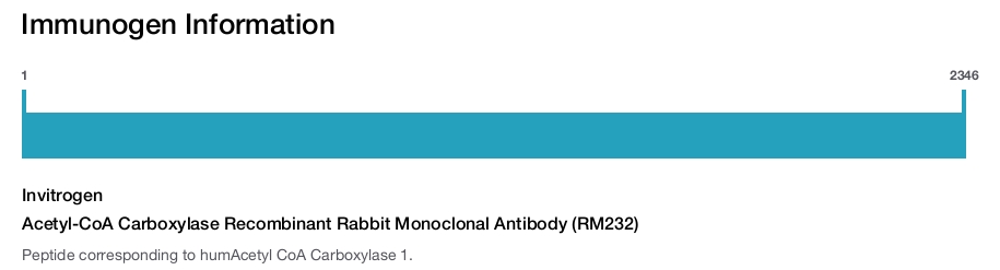 Acetyl-CoA Carboxylase Recombinant Rabbit Monoclonal Antibody (RM232)