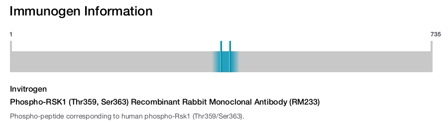 Phospho-RSK1 (Thr359, Ser363) Recombinant Rabbit Monoclonal Antibody (RM233)
