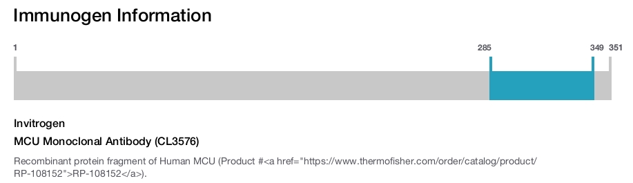 MCU Monoclonal Antibody (CL3576)