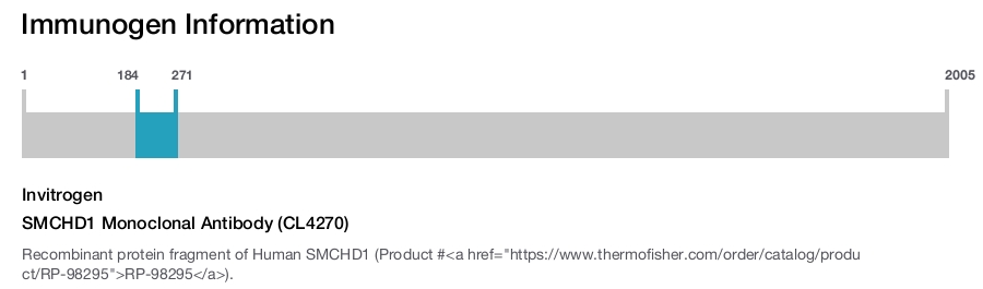 SMCHD1 Monoclonal Antibody (CL4270)