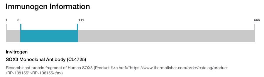 SOX3 Monoclonal Antibody (CL4725)