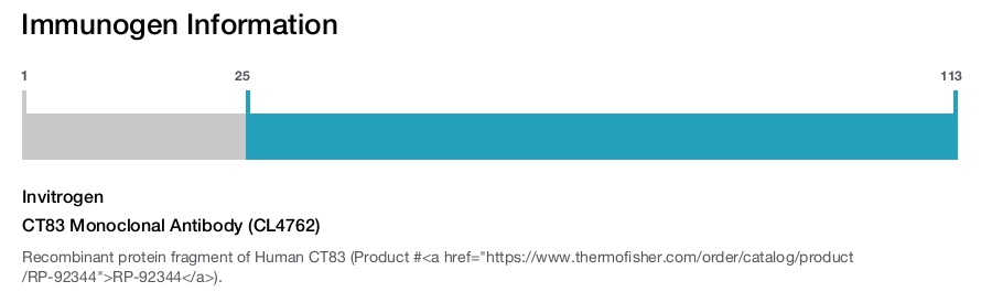 CT83 Monoclonal Antibody (CL4762)