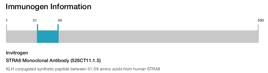 STRA8 Monoclonal Antibody (526CT11.1.5)