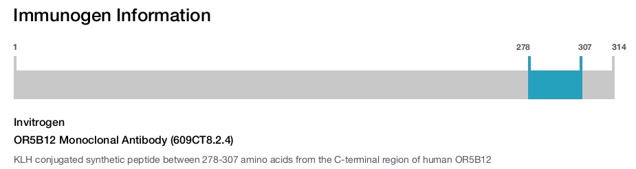 OR5B12 Monoclonal Antibody (609CT8.2.4)