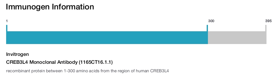CREB3L4 Monoclonal Antibody (1165CT16.1.1)