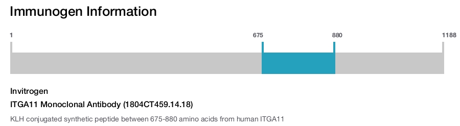ITGA11 Monoclonal Antibody (1804CT459.14.18)
