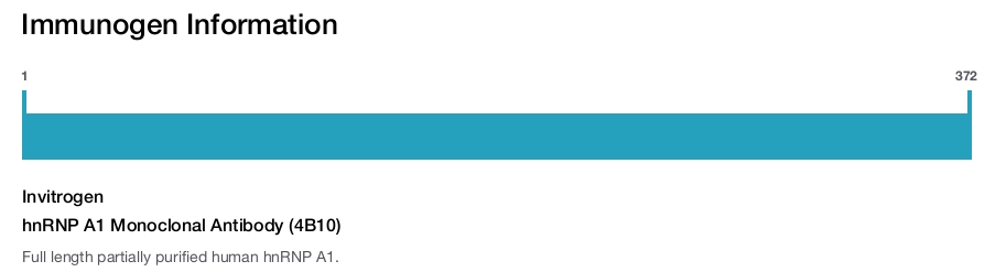 hnRNP A1 Monoclonal Antibody (4B10)