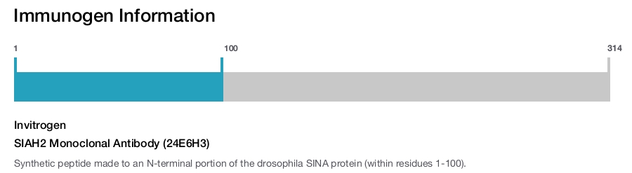 SIAH2 Monoclonal Antibody (24E6H3)