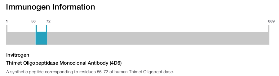 Thimet Oligopeptidase Monoclonal Antibody (4D6)