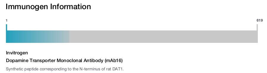Dopamine Transporter Monoclonal Antibody (mAb16)