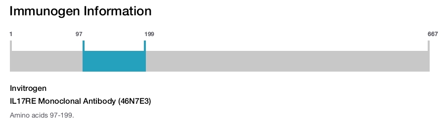 IL17RE Monoclonal Antibody (46N7E3)